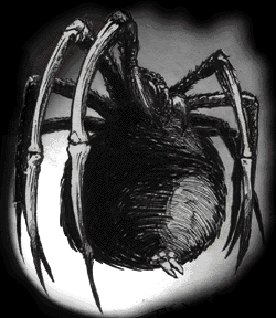 BIG ASS SPIDER! KILL IT NOW!