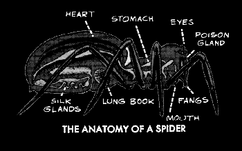 ..FOR FUTURE REFERENCE,
MAKE SURE THESE PARTS ARE FLATTENED WITH GREAT FORCE TO ACHIVE DEATH.